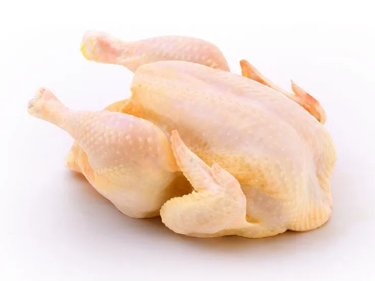 Ayam